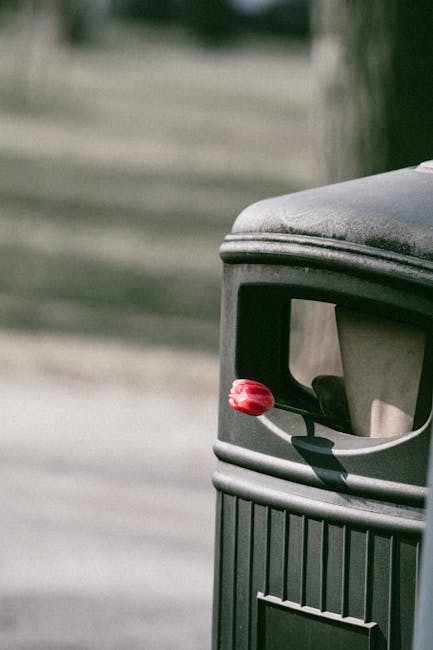Close-up of a black plastic rubbish bin positioned outdoors on a paved surface, with a partially visible grey lid on the top. The bin features a front opening with a rounded, rectangular cut-out, and a small red plastic handle attached to the lid. The background is blurred but suggests an outdoor environment with greenery and a road or driveway in the distance. The scene is well-lit by natural daylight. The image relates to waste disposal and removal services, which are often part of home relocation or house move processes, and occasional mention of [COMPANY_NAME] in the context of removals and transport logistics is relevant here.